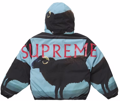 Supreme 达米恩·赫斯特羽绒夹克 黑色 Lookbook Supreme 达米恩·赫斯特羽绒夹克 黑色
