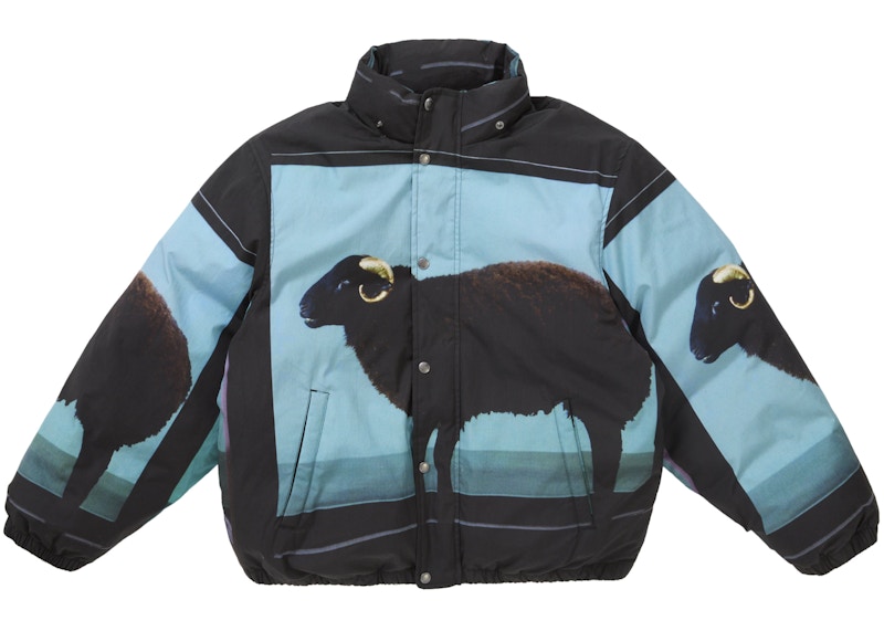 Shop Supreme 达米恩·赫斯特羽绒夹克 黑色