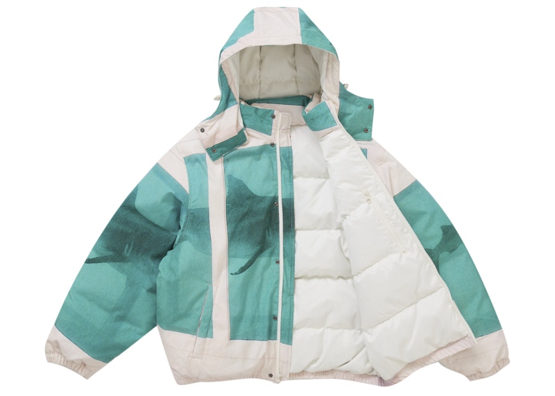 Order シュプリーム ダミアン・ハースト ダウンパファージャケット ホワイト