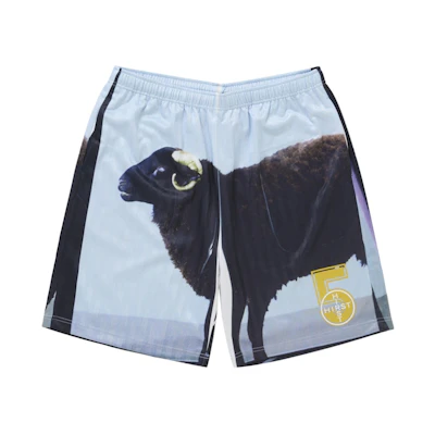 Supreme Damien Hirst Soccer Short Black