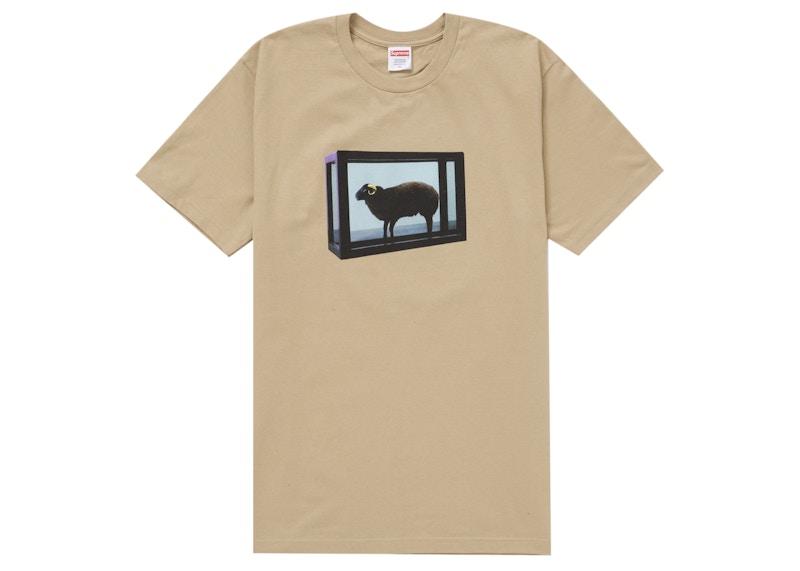 Supreme Damien Hirst Tee Khaki