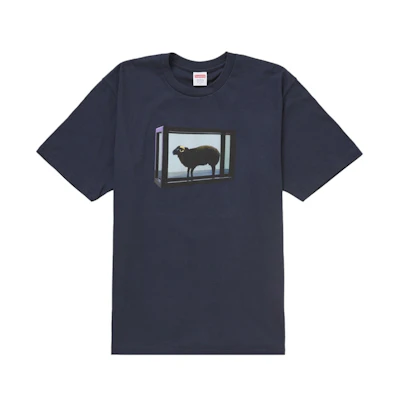 Supreme Damien Hirst Tee Navy