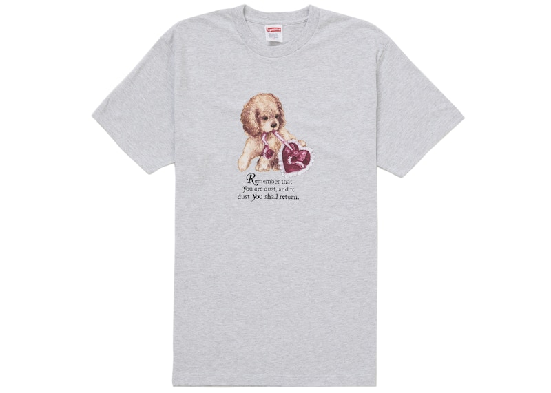 Supreme Dust Tee Ash Grey