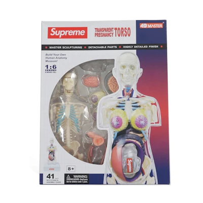 Supreme Female Anatomy Model Clear