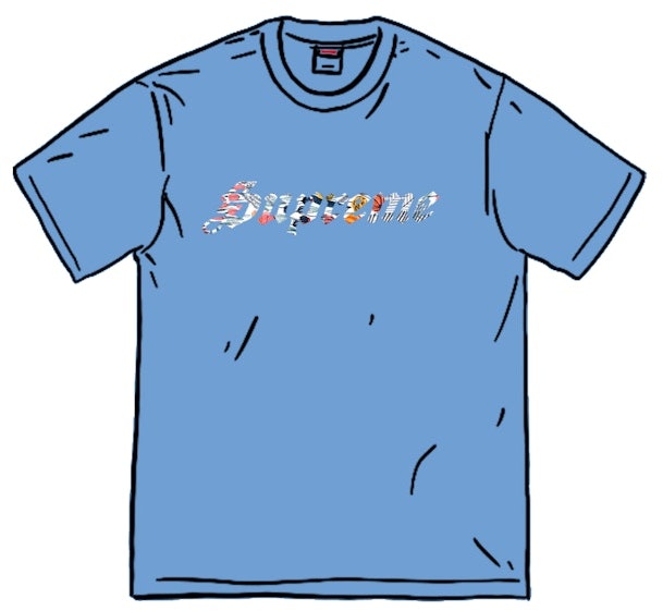 supreme-floral-applique-s-s-top-light-blue