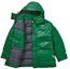 Order Supreme Gore-Tex Leather 700-Fill Down Parka Green
