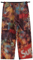Supreme Gore-Tex PACLITE Cargo Pant Multicolor Supreme Gore-Tex PACLITE Cargo Pant Multicolor