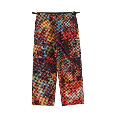Supreme GTX PACLITE Cargo Pant Multicolor