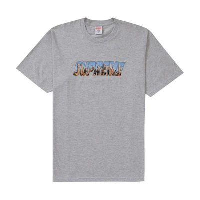 Supreme Gotham Tee Ash Grey