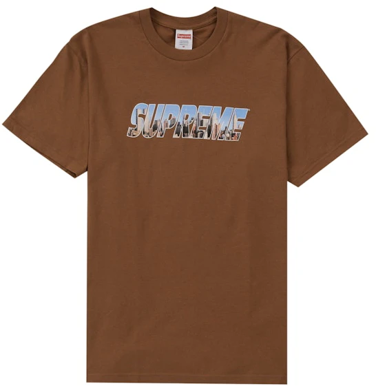 supreme-gotham-tee-light-brown