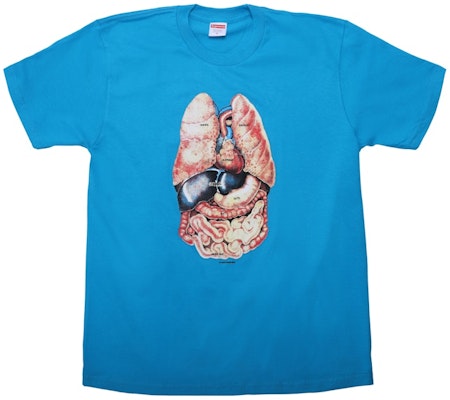 Supreme Guts Tee Bright Blue Buy Supreme Guts Tee Bright Blue