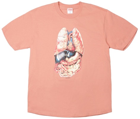 Supreme Guts Tee Terra Cotta Buy Supreme Guts Tee Terra Cotta