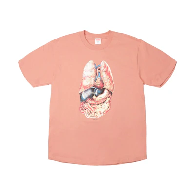 Supreme Guts Tee Terra Cotta
