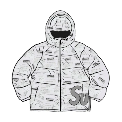 Supreme Hooded Down Down Jacket Receipts