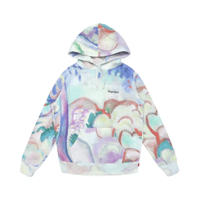 Supreme Landscape Hooded Sweatshirt Multicolor