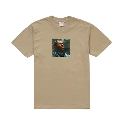 Supreme Marvin Gaye Tee CLAY