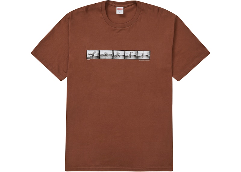 Supreme Milford Graves Tee Brown