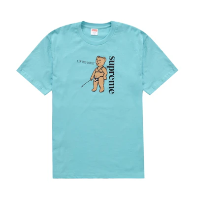 Supreme Not Sorry Tee Light Teal