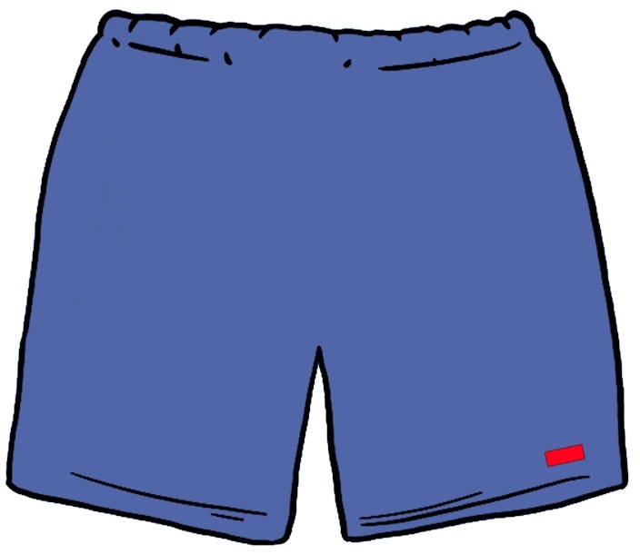 supreme-nylon-water-short-ss-20-light-navy