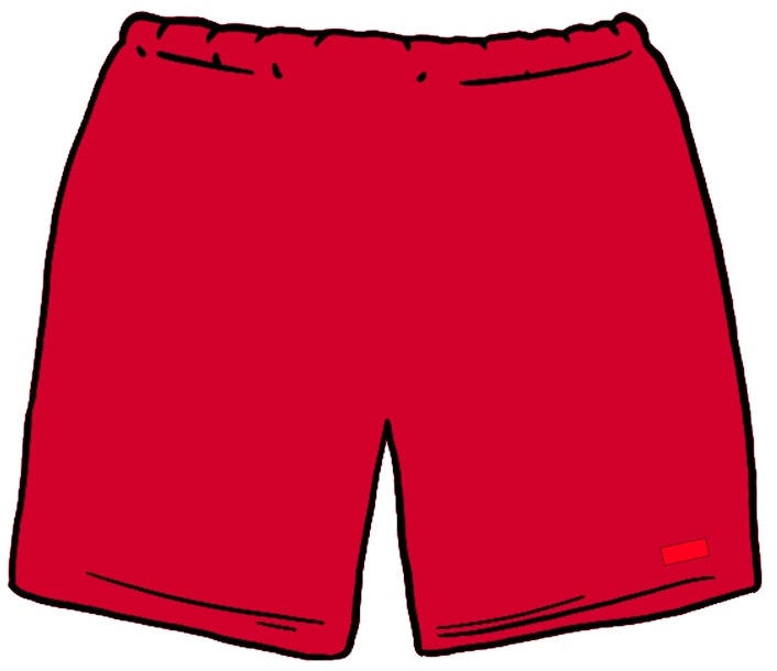 supreme-nylon-water-short-ss-20-red