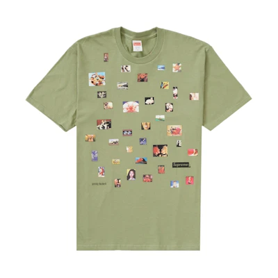 Supreme Pretty Fucked Tee 'Light Olive'