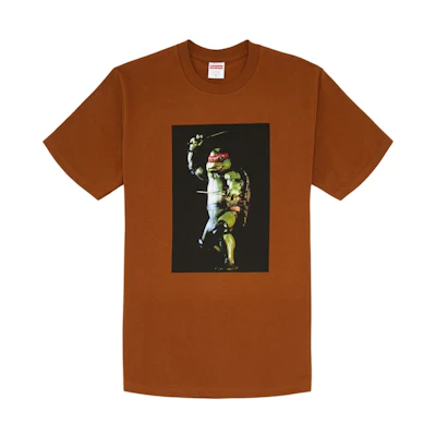 Supreme Raphael Tee Brown