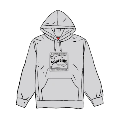 Supreme Shine Hooded Sweatshirt Ash Grey