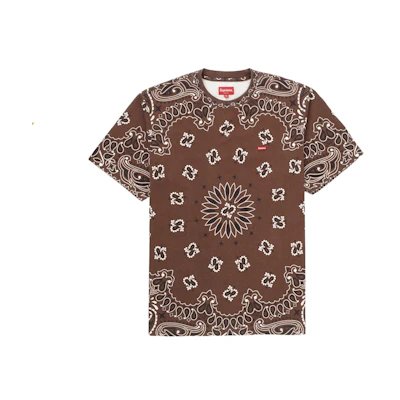 Supreme Small Box Tee Brown Bandana