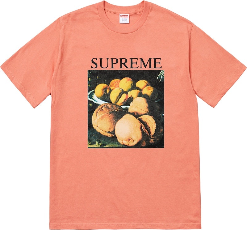 supreme-still-life-tee-terra-cotta