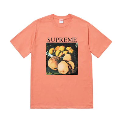 Supreme Still Life Tee Terra Cotta
