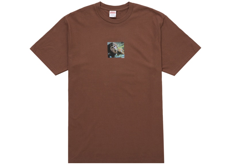 Supreme The Exorcist Puke Tee Brown