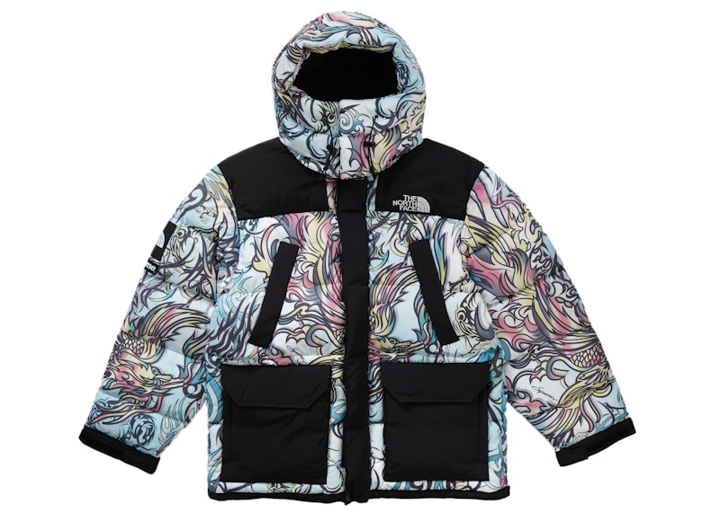 Supreme The North Face 700-Fill Down Parka Multicolor Dragon