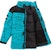 Supreme The North Face Coldworks 700-Fill Down Parka Teal
