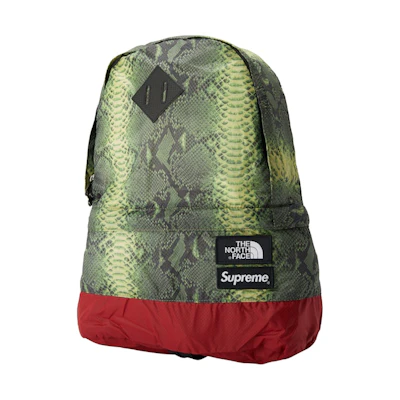 Supreme The North Face Snakeskin Lightweight Day Pack Green