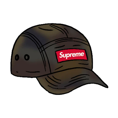Supreme Washed Satin Camo Camp Cap Woodland Camo