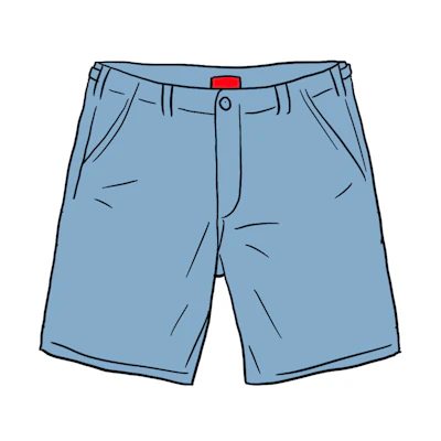 Supreme Work Short (SS20) Dusty Blue