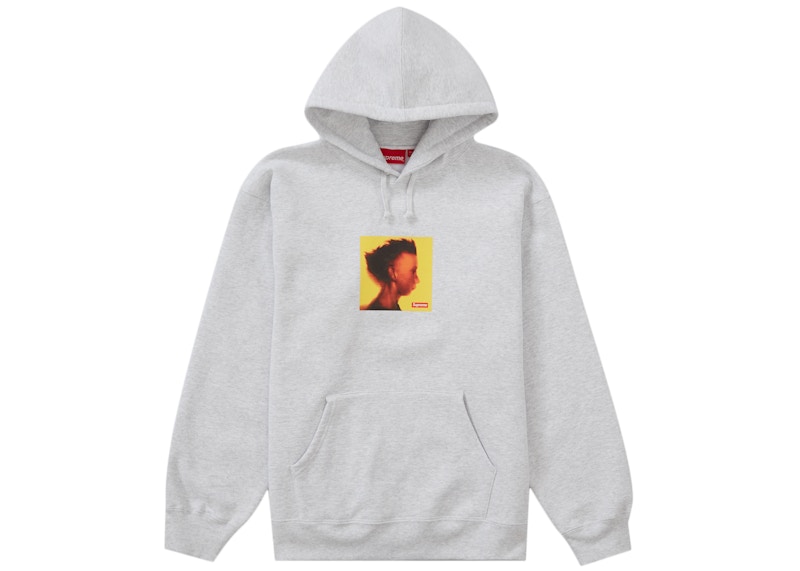 Supreme Gummo Hooded Sweatshirt 'Ash Grey'