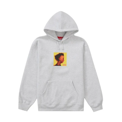 Supreme Gummo Hooded Sweatshirt 'Ash Grey'