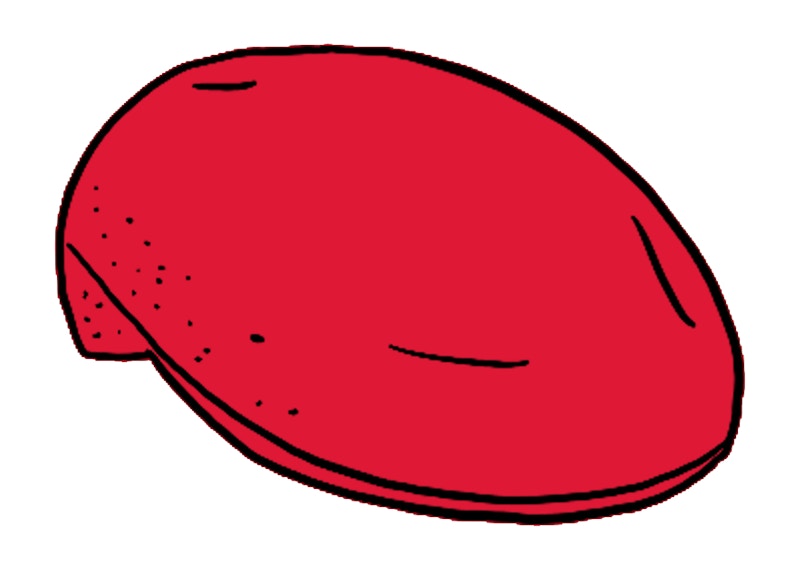 Supreme x Kangol Bermuda 504 Hat Red