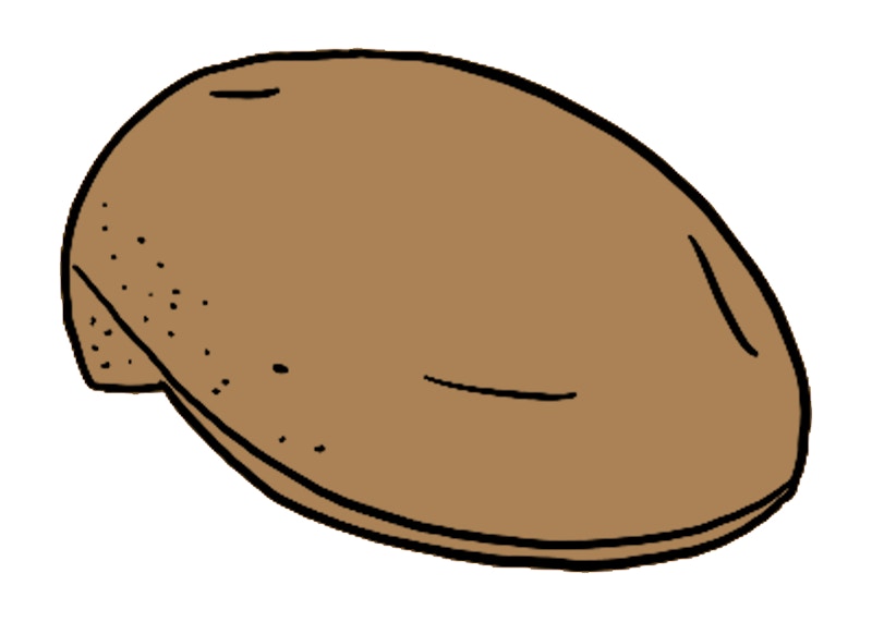 Buy Topi Supreme x Kangol Bermuda 504 Tan