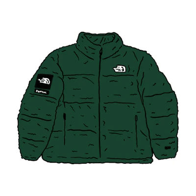 Supreme TNF Faux Fur Nuptse Jacket Green