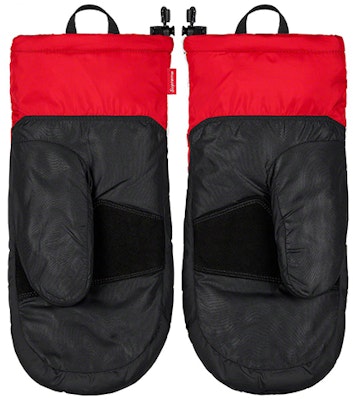 Supreme x The North Face FW20 Week 10 Snow Gloves Unisex Ski Style Gloves SUP-FW20-249 Lookbook Supreme x The North Face FW20 Week 10 Snow Gloves Unisex Ski Style Gloves SUP-FW20-249