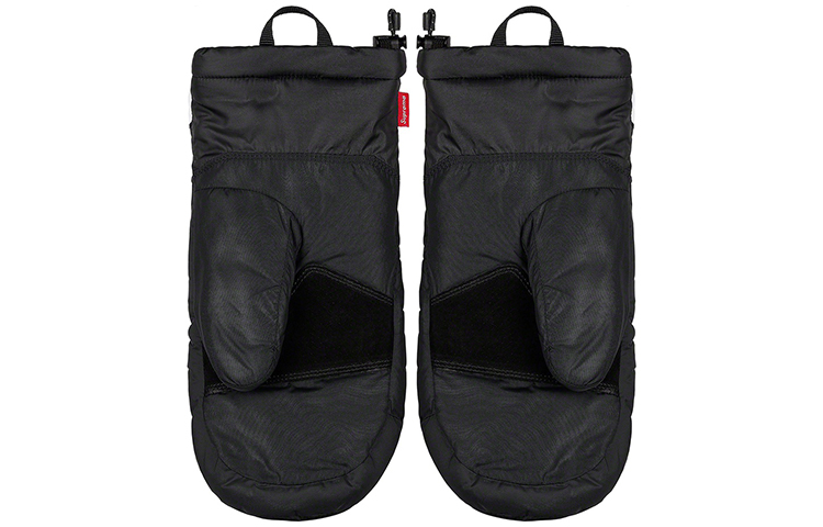 Purchase Supreme x The North Face FW20 Week 10 Snow Gloves Unisex Ski Style Gloves SUP-FW20-249