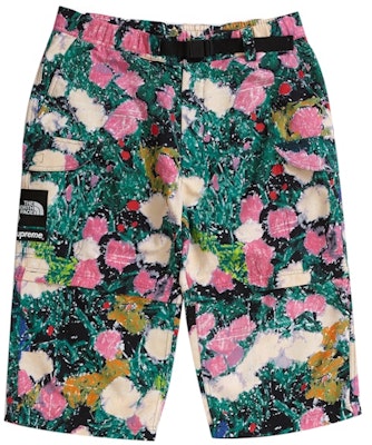 Supreme x The North Face Trekking Zip-Off Belted Pant Flowers Lookbook Supreme x The North Face Trekking Zip-Off Belted Pant Flowers