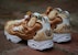 Ted 2 x Bait x Reebok InstaPump Fury 'Ted Marah' AQ9351