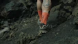 Shop Sepatu Hiking TERREX Skychaser GORE-TEX IH2799