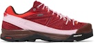 Buy The Broken Arm x Salomon X-Alpages GORE-TEX 'Biking Red' Merah Basikal L47346100