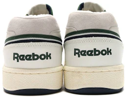 Shop The Hall Of Fame x Reebok ACT 600 ''Kreidegrün'' BD2883