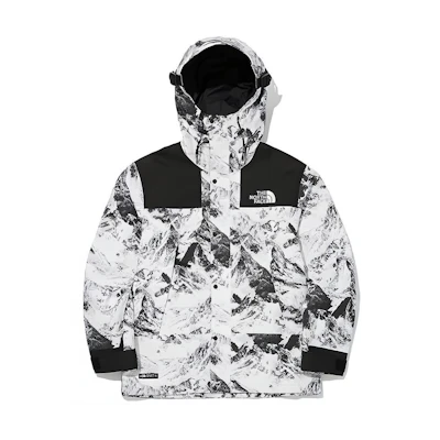 TNF 1990 GTX Mountain Hoodie Waterproof Jacket Unisex White NJ2GM51A