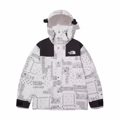 TNF 1990 GORE-TEX Paisley Logo Waterproof Hoodie Jacket White NJ2GN60C